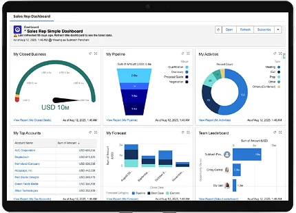 Salesforce for Real Estate CRM Interface